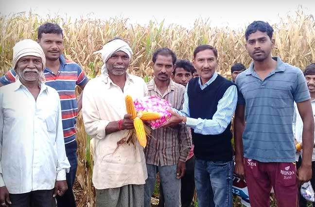 Ultrices sagittis orci a scelerisque purus semper eget duis at. Sollicitudin nibh sit amet.