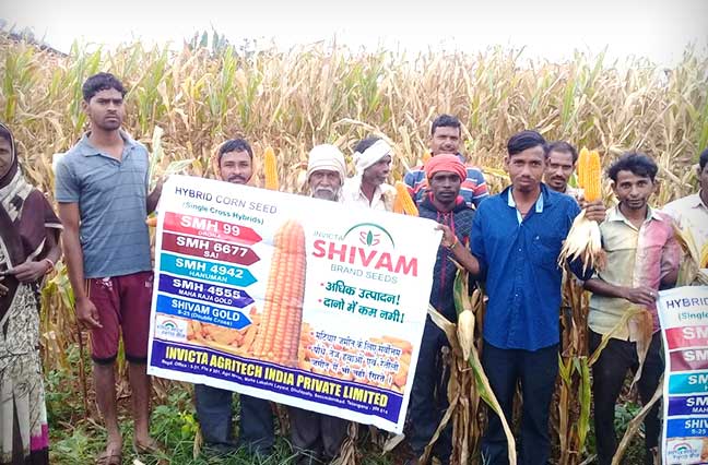 Ultrices sagittis orci a scelerisque purus semper eget duis at. Sollicitudin nibh sit amet.