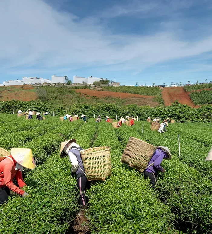 Organic farms avoid toxic inputs, improve soil health, grow clean, sustainable food that supports nature.